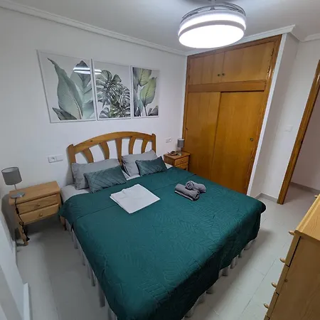 Dominik 托雷维耶哈